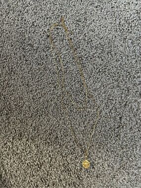 Revolve gold double layered long necklace
